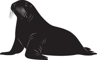 A silhouette of a walrus with its body low, flippers moving deliberately as it navigates its environment. Full-length silhouette black illustration. vector