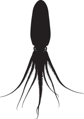 A silhouette of a squid with its body stretched out, tentacles fanned and fins raised to appear larger to potential predators. Full-length silhouette black illustration.