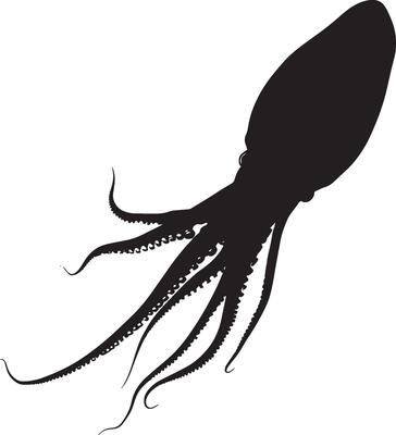 Squid Crawling Body low to the surface with arms and tentacles gripping, moving slowly along the ocean floor. full length silhouette black illustration