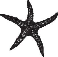 Starfish Defending Body tense with arms spread wide, creating a larger profile to deter predators. full length silhouette black illustration vector