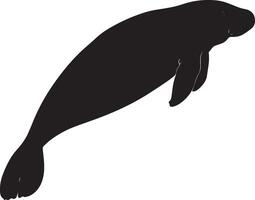 Manatee Observing Its Surroundings Body at rest with flippers extended outward, actively sensing the environment around it. Full-length silhouette black design. vector