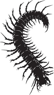 Centipede Hiding Body partially hidden in crevices or under leaves, legs visible. full length silhouette black illustration