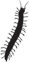 Centipede Ascending a Surface Body angled upward with legs firmly gripping a vertical surface, moving gradually. Full-length silhouette black design. vector