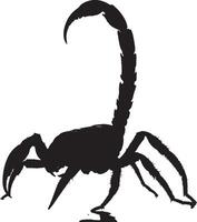 Scorpion Hunting Body angled forward with claws open and tail raised, ready to strike prey. full length silhouette black illustration vector