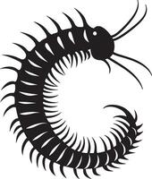 Centipede Curled Body coiled in a spiral shape with legs bent inward for protection. full length silhouette black illustration vector