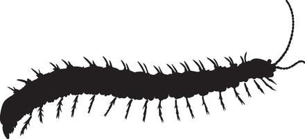 Centipede at Rest A silhouette of a centipede with its body still and legs folded under, gently lying along the ground. Full-length silhouette black illustration. vector