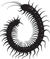 Centipede in a Defensive Curl Body coiled into a spiral with legs bent inward, creating a protective posture. Full-length silhouette black design. vector
