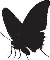 Moth Landing Body descending with wings folded and legs extended, preparing to land on a surface. full length silhouette black illustration vector