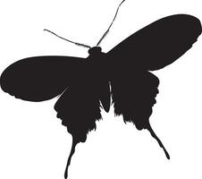 Moth Approaching a Light Body in flight toward a light source, wings fully extended and legs drawn in. Full-length silhouette black design. vector
