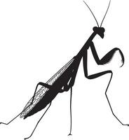 Praying Mantis in a Reaching Position Body elongated forward with forelegs extended and antennae aligned with the movement. Full-length silhouette black design. vector