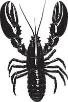 Lobster in the Molting Process Body arched with legs extended as it sheds its exoskeleton. Full-length silhouette black design. vector