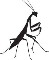 Praying Mantis Reaching Body stretched forward with forelegs extended, antennae following the movement. full length silhouette black illustration vector