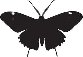 Moth Feeding Body angled forward with long proboscis extended into a flower or food source, wings slightly open. full length silhouette black illustration vector