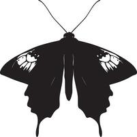 Moth in a Sensing Position Body stationary with antennae extended, actively sensing the environment while wings are folded. Full-length silhouette black design. vector