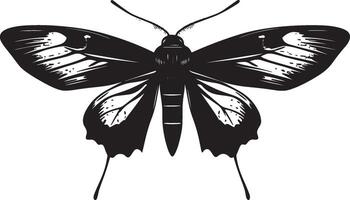 Moth Progressing on the Ground A silhouette showing a moth with its body positioned low, legs extended, and moving in a slow, methodical pattern. Full-length silhouette black artwork. vector