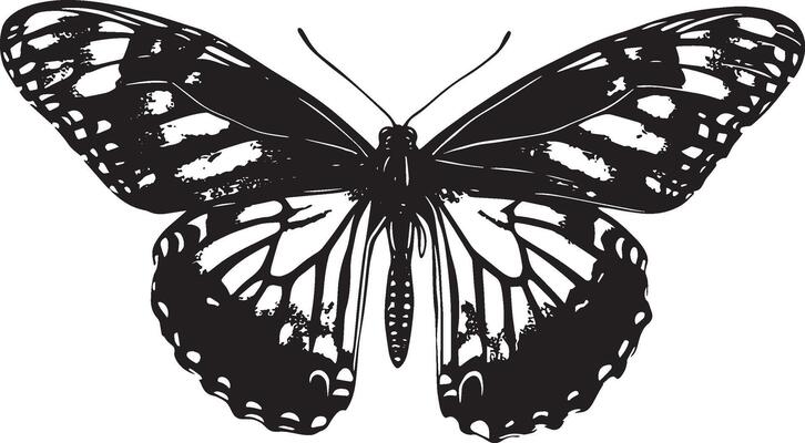 Butterfly Resting with Wings Open Wings spread wide, body sitting flat against a surface, antennae raised. full length silhouette black illustration