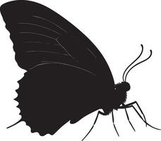 Crawling Butterfly The black silhouette of a butterfly moving along a surface, legs extended and wings securely tucked against its body, illustrated in full length. vector