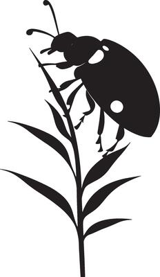 Ladybug Perched Body sitting upright on a leaf or stem, wings closed and legs gripping the surface. full length silhouette black illustration