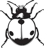 Ladybug Defending Body arched with wings slightly open and legs spread in a defensive posture. full length silhouette black illustration vector