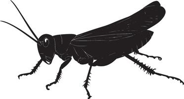 Grasshopper Crawling Body low to the ground with legs extended and moving in a rhythmic pattern. full length silhouette black illustration vector