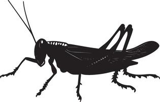Grasshopper in Crawling Motion body positioned low to the ground with legs extended, moving in a rhythmic pattern. Full-length silhouette black design. vector