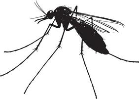 Mosquito Resting Body still on a surface with legs extended and wings folded tightly against the body. full length silhouette black illustration vector