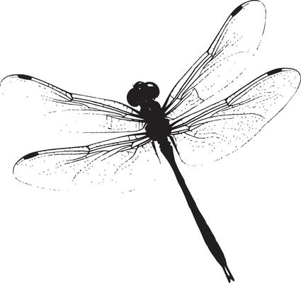 Dragonfly Darting Body moving quickly in short bursts, wings flapping rapidly, legs tucked in behind. full length silhouette black illustration