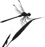 Dragonfly Resting on a Leaf Body upright on a leaf or twig, wings slightly spread, and legs firmly gripping the surface. Full-length silhouette black design. vector