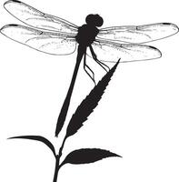 Dragonfly Perched on a Leaf Body upright on a leaf or twig with wings spread slightly and legs gripping the surface. full length silhouette black illustration vector