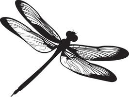 Dragonfly Flying Wings spread wide with body elongated and legs tucked under, darting swiftly through the air. full length silhouette black illustration vector