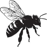 Bee at Rest The body is perched on a surface or flower, wings tucked away and antennae in a relaxed position, depicted as a full-length black silhouette illustration. vector