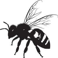Bee in Crawling Motion Body traversing a surface or flower, legs actively moving while antennae are extended to sense the surroundings. Full-length silhouette black design. vector