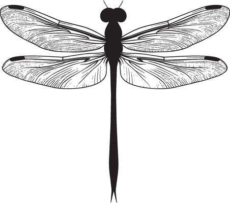 Full-body black silhouette of a dragonfly suspended in place, wings fluttering rapidly.