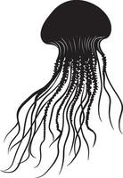 Jellyfish with Tentacles Extended Body still with long, trailing tentacles hanging down, possibly in a defensive posture. full length silhouette black illustration vector