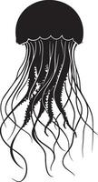 Jellyfish in repose form unmoving, bell directed downward, tentacles flowing loosely below in a complete silhouette illustration. vector