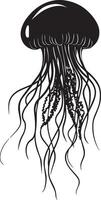 Jellyfish Floating Body bell-shaped and translucent with tentacles trailing below, gently drifting in the water. full length silhouette black illustration vector