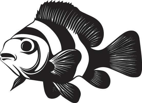 Clownfish navigating form sleek with fins spread wide, tail softly moving through the water in a black outline.