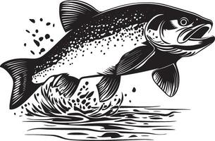 Trout laying eggs body angled in shallow water, fins spread wide, and tail flicking as it spawns in a full-length silhouette. vector
