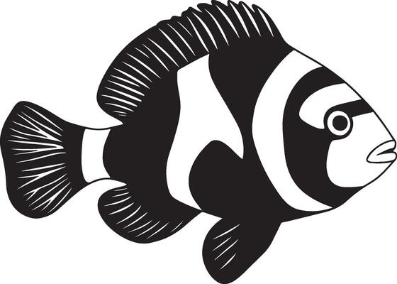Clownfish gliding body streamlined, fins fully extended, and tail gently swaying in the water in a full-length silhouette.