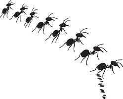 Ant Following Trail Multiple ants lined up, body moving in a straight path with antennae held high. full length silhouette black illustration vector