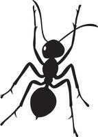 Ant Climbing Body angled upward with legs gripping a vertical surface and antennae positioned forward. full length silhouette black illustration vector