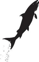 Salmon Jumping Body arched with tail and fins extended while leaping out of the water. full length silhouette black illustration vector