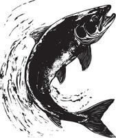 Trout Hovering Body suspended in the water with fins spread and tail slightly curled. full length silhouette black illustration vector