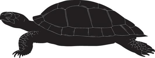 Turtle advancing moving slowly on land, legs spread, and shell elevated off the ground in a full-length silhouette. vector