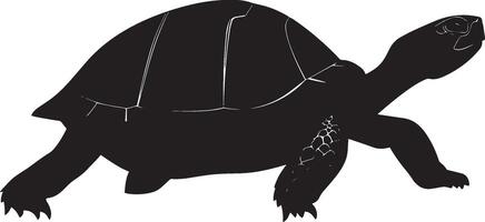 Turtle Crawling Moving slowly on land with legs spread, shell lifted off the ground. full length silhouette black illustration vector