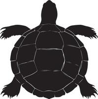 Turtle Hiding Head and legs withdrawn into the shell, body retracted into a defensive position. full length silhouette black illustration vector