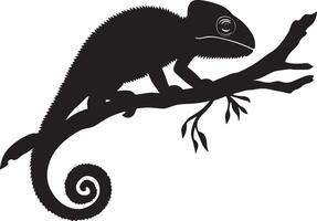 Chameleon at rest body relaxed, legs spread, and tail curled securely around a branch in a full-length silhouette. vector