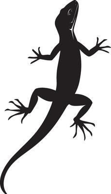 Lizard standing guard tail held high, body curved, and head lifted to maintain awareness in a black outline.