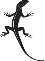 Lizard in defense mode tail elevated, body arched slightly, and head raised to appear alert in a full-length silhouette. vector