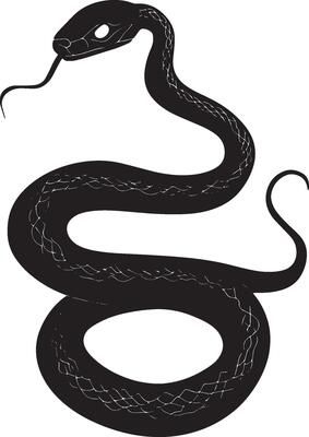 Snake gliding body coiled and curved, moving smoothly along the ground in a full-length silhouette.